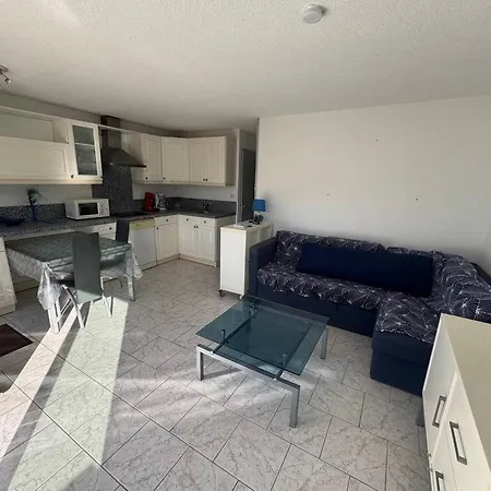 Apartment T2 Confort En Rdc Avec Terrasse, Animaux Admis - Fr-1-749-84 *