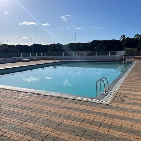 T2 Confort En Rdc Avec Terrasse, Animaux Admis - Fr-1-749-84 Apartment Agde